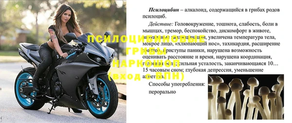 спайс Бородино