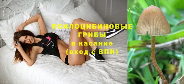 МДПВ Бугульма