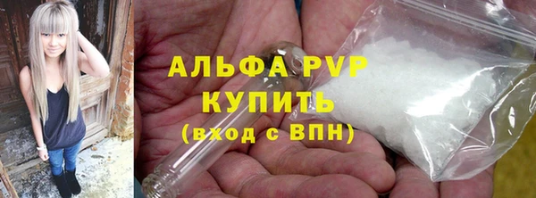 амф Верея