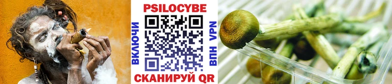 hydra ССЫЛКА  купить закладку  Лиски  Псилоцибиновые грибы MAGIC MUSHROOMS 